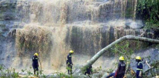 On Sunday, a massive tree felt on students who were on a trip while swimming, killing almost 17 of them.