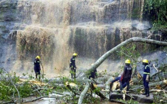 Kintampo2017 On Sunday, a massive tree felt on students who were on a trip while swimming, killing almost 17 of them.