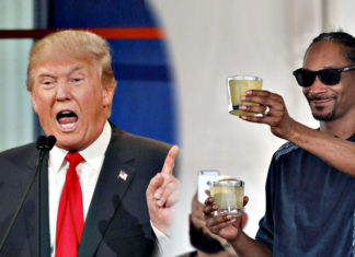 Snoop Dogg music video seemingly falls under the umbrella of parody or spoof and, all things considered, would be secured under the First Amendment.