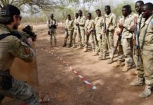 Jihadist in Africa leading to the death of many