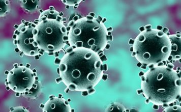 Coronavirus (COVID-19) now in Africa
