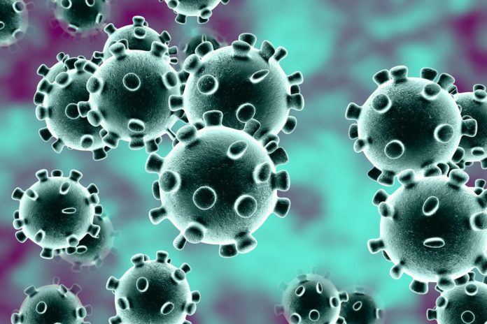 Coronavirus (COVID-19) now in Africa