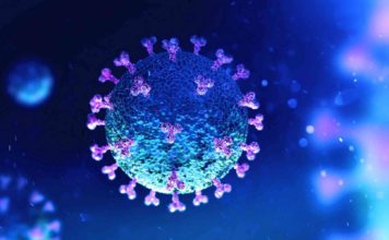 Learning How To Live With A Pandemic