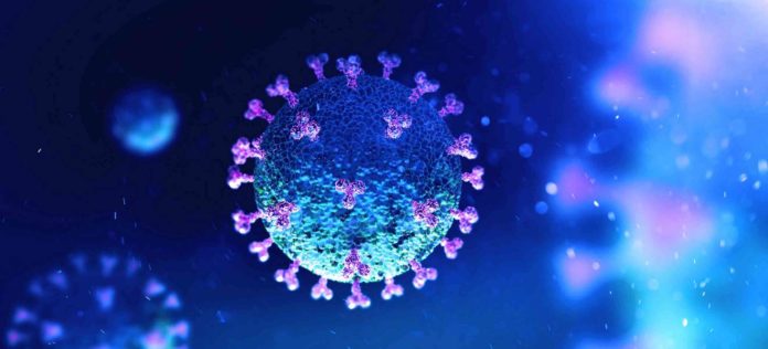 Learning How To Live With A Pandemic